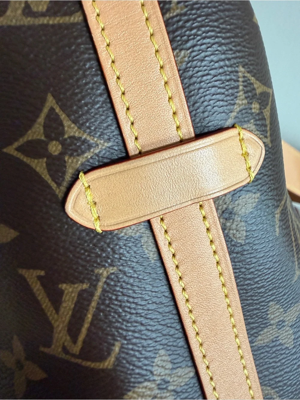 Louis Vuitton CarryAll PM Monogram Canvas Bag Handbag